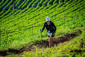 BIB: 
                            <button type="button" onclick="openModal(19160378)" class="btn btn-primary btn-sm float-right btn-popup" data-toggle="modal" data-target=".modal-high-quality">
                        <i class="fas fa-shopping-cart"></i> Add to Cart
                    </button>
                                            <button type="button" onclick="isThisMe(19160378, true)" class="btn btn-success btn-sm float-right btn-popup btn-isme hidden" data-toggle="tooltip" data-placement="bottom" title="นี่คือรูปของคุณใช่ไหม คลิกที่นี่เพื่อเอาเข้าอัลบั้ม">
                        <i class="fas fa-plus"></i> Add to album
                    </button>
                    <button type="button" onclick="isThisMe(19160378, false)" class="btn btn-warning btn-sm float-right btn-popup btn-isnotme hidden">
                        <i class="fas fa-ban"></i> Remove from album
                    </button>